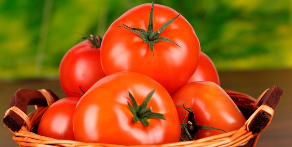 Tomātu grozs Prima Donna