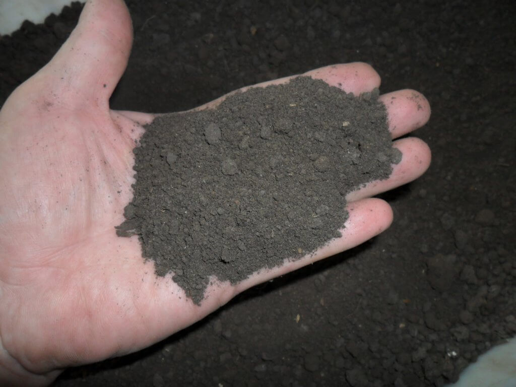 Fotó a palántákhoz kezelt talajról Fotó a palántákhoz kezelt talajról