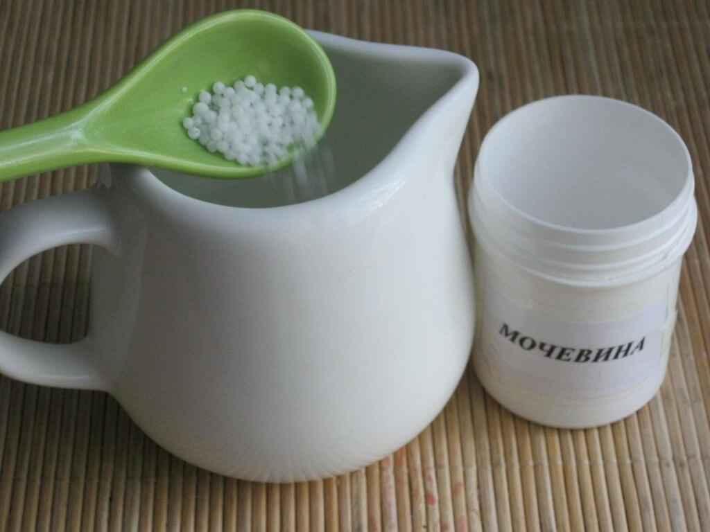 Urīnviela tomātu barošanai