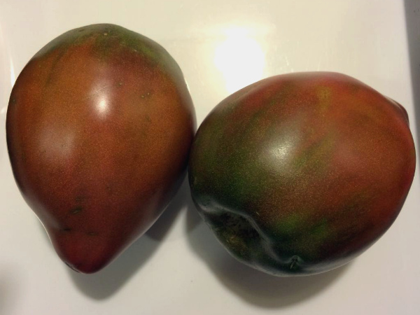 Melnie Bull's Heart tomātu augļi Melnie Bull's Heart tomātu augļi