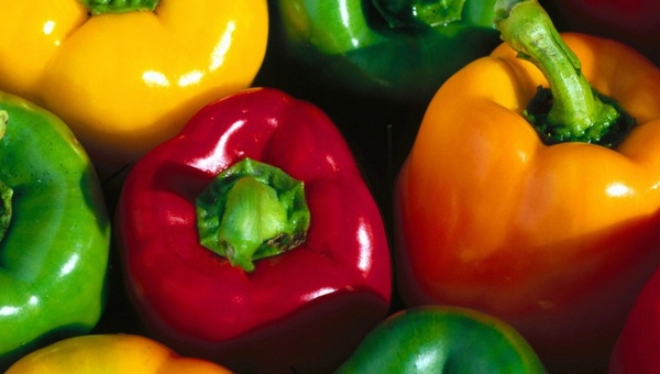 ภาพพริกหลากสี