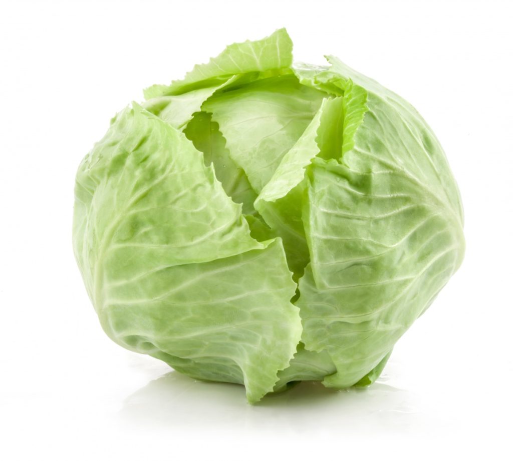 A type of white cabbage