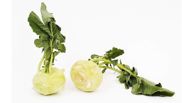 الكرنب الأبيض الفييني الكرنب الأبيض الفييني