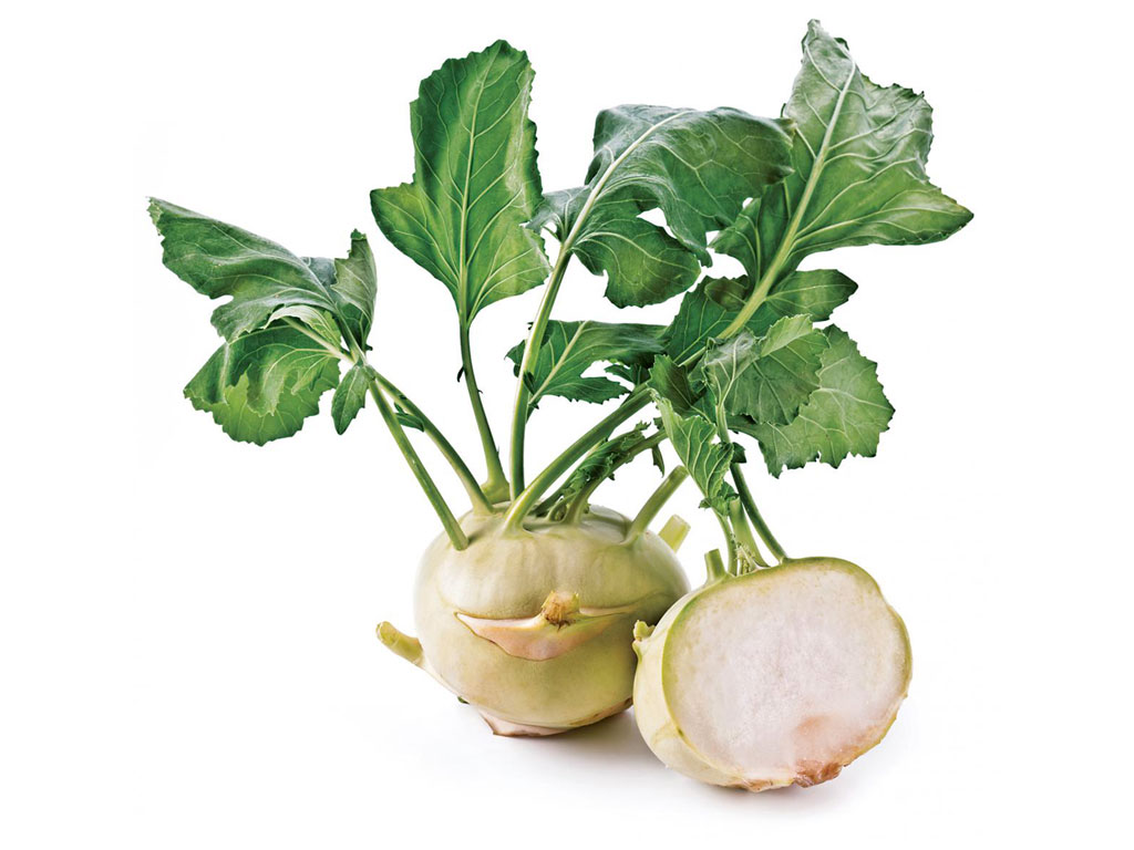 كرنب الكرنب الأخضر كرنب الكرنب الأخضر