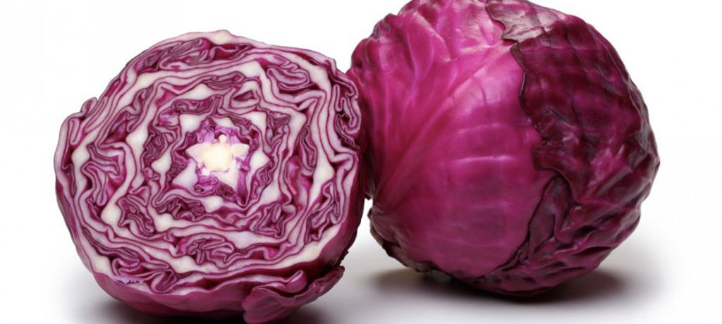 Vörös káposzta típus