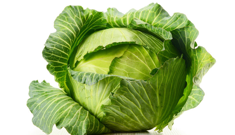 A fehér káposzta egy gyökérzöldség