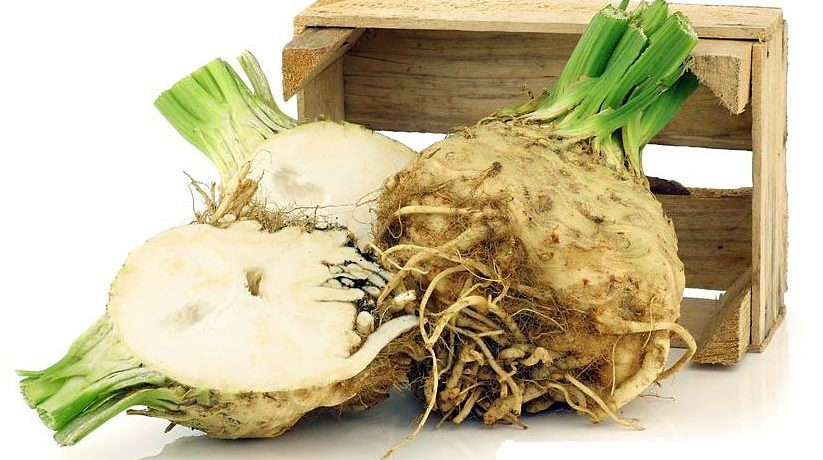 Tværsnit af sellerirod