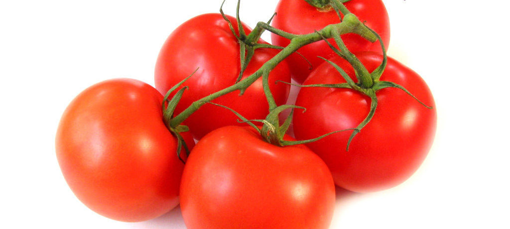 זן עגבניות קטיה