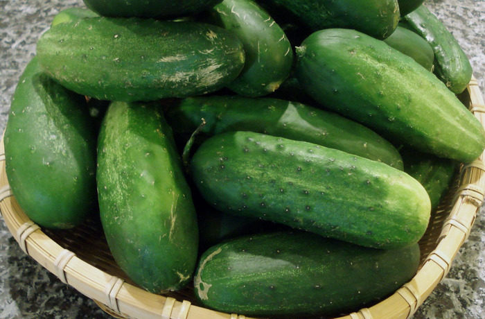 Cascade cucumbers