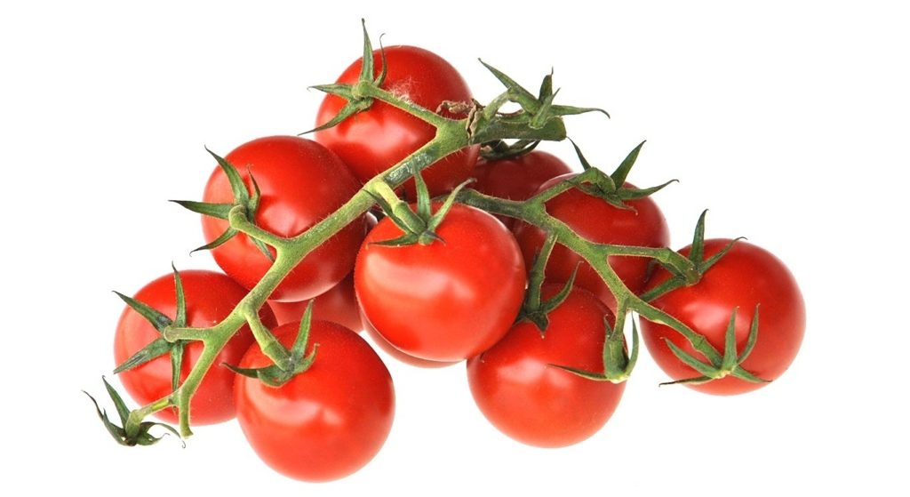 Ķiršu tomātu šķirne