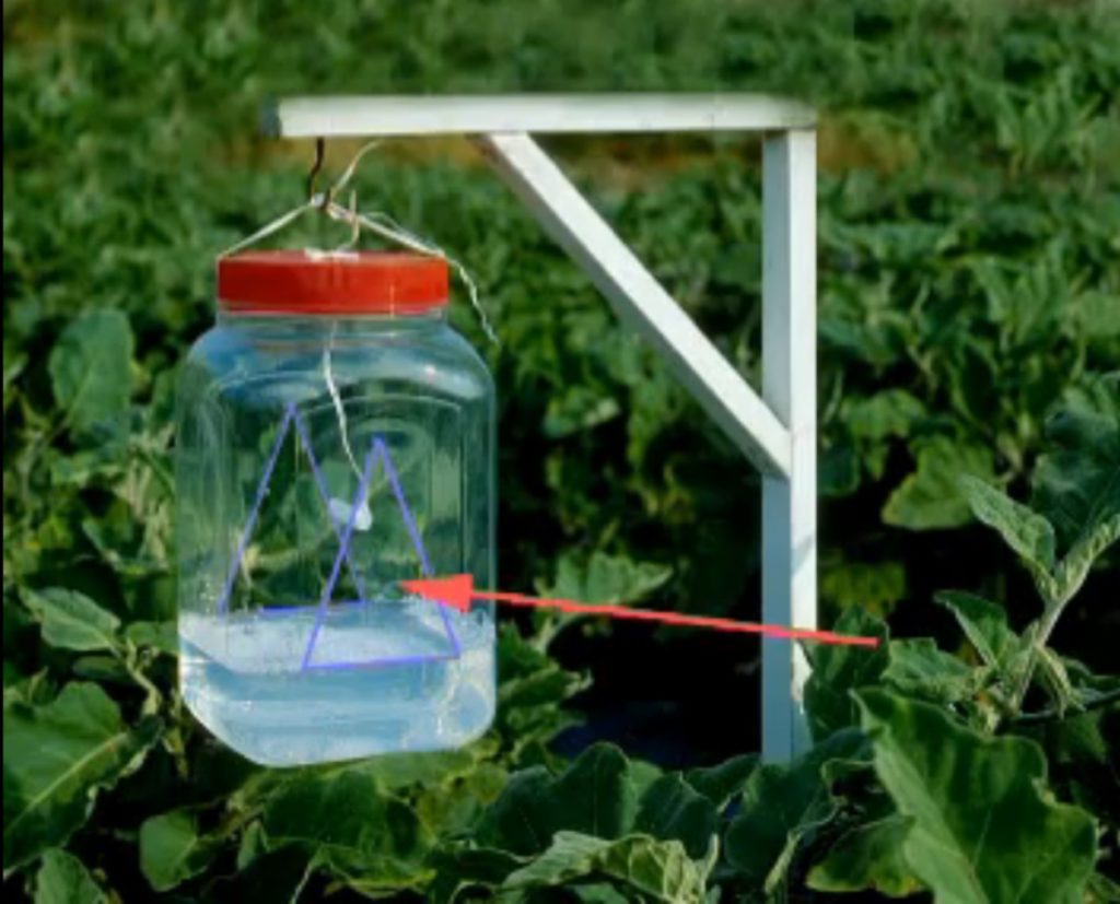 Pasca na škodcov svojpomocne