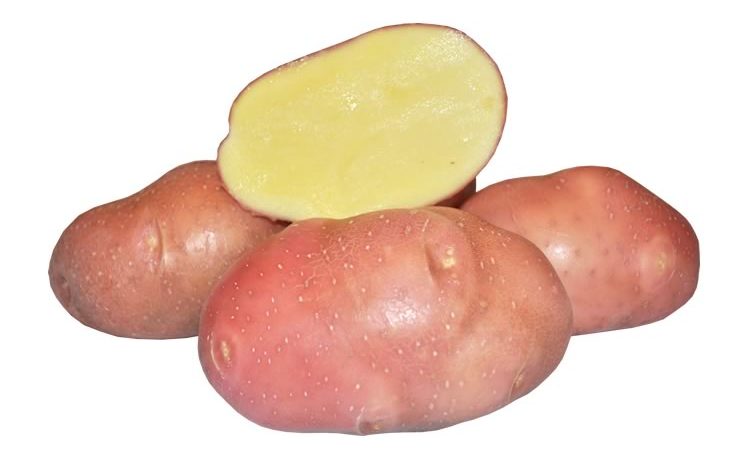 Bellarosa ir kartupeļu šķirne.