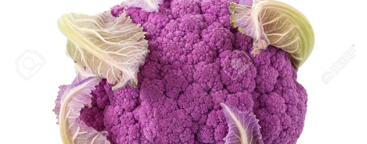 보라색 콜리플라워