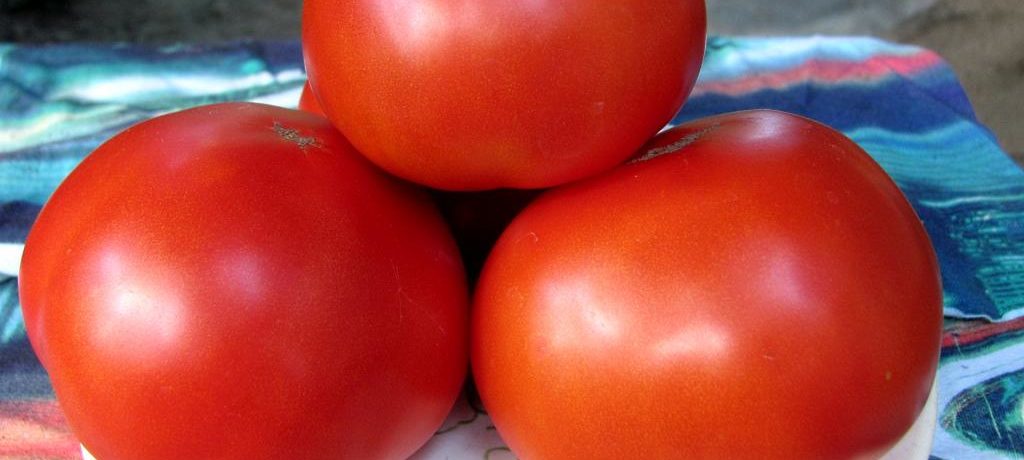 Grosses tomates sur une assiette