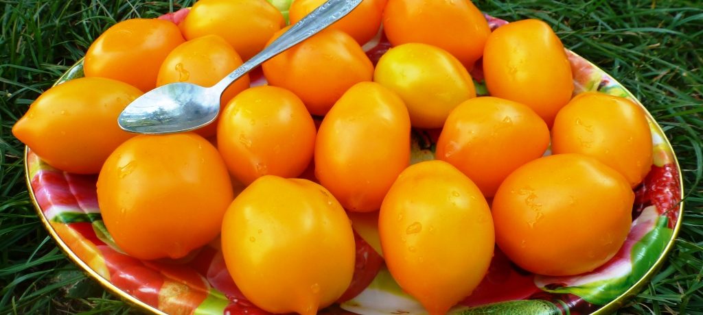 עגבניות מפל על צלחת