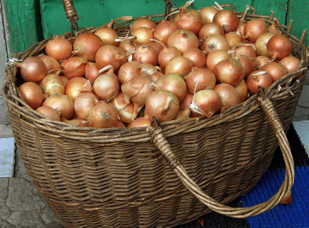 Šekspīra sīpoli grozā Šekspīra sīpoli grozā