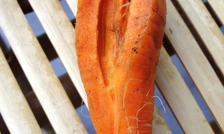 Zdjęcie marchewki z pęknięciem