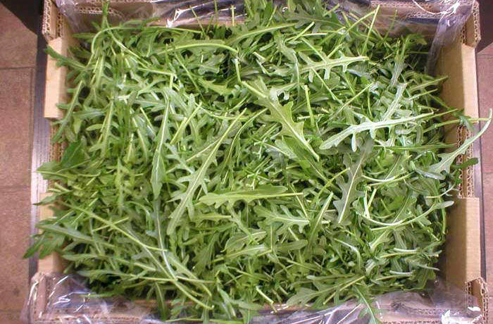 Rucolablade i en æske