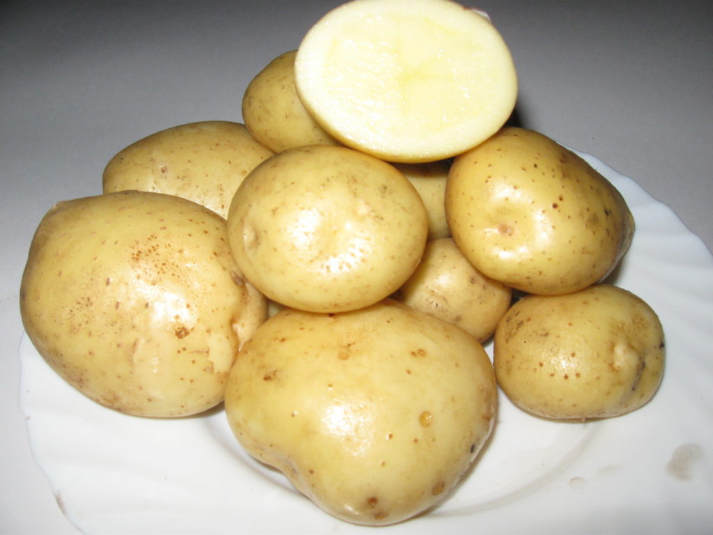 Cross-section of "Golubizna" potatoes
