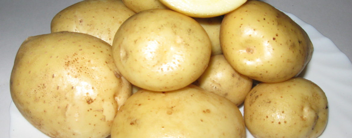 "Golubizna" 감자의 단면