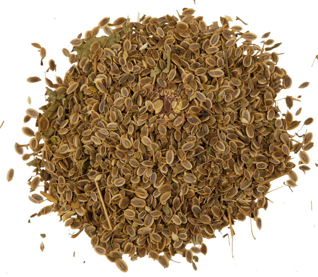 A handful of seeds for planting