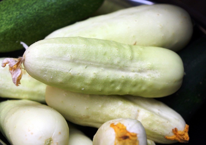 Šķirne "Baltā delikatese" Šķirne "Baltā delikatese"