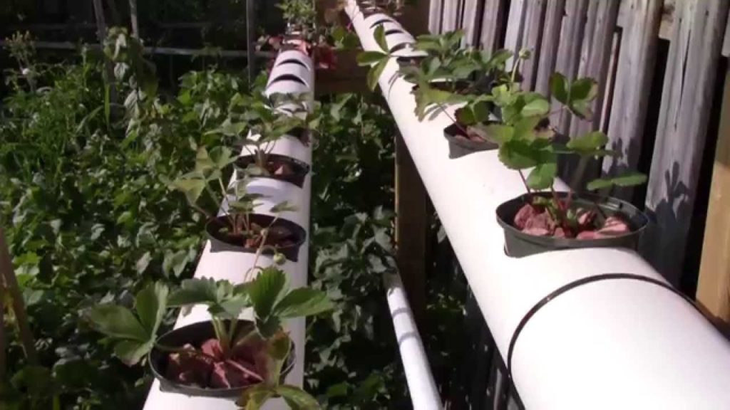 Horizontal cultivation in PVC structures