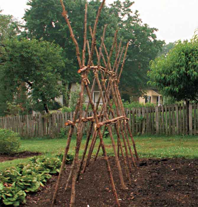 هيكل على شكل حرف A للنباتات المتسلقة هيكل على شكل حرف A للنباتات المتسلقة