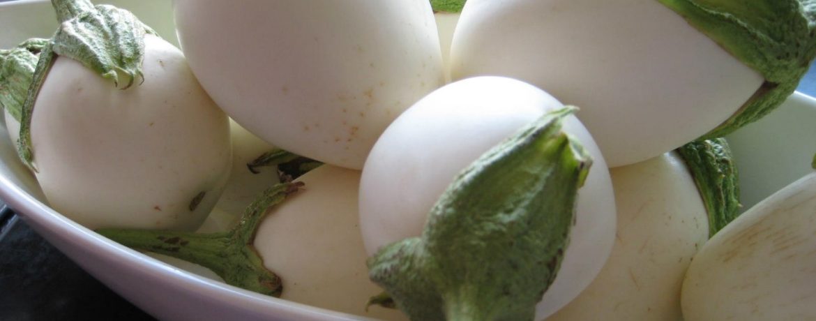 Eggplant Ping-Pong F1