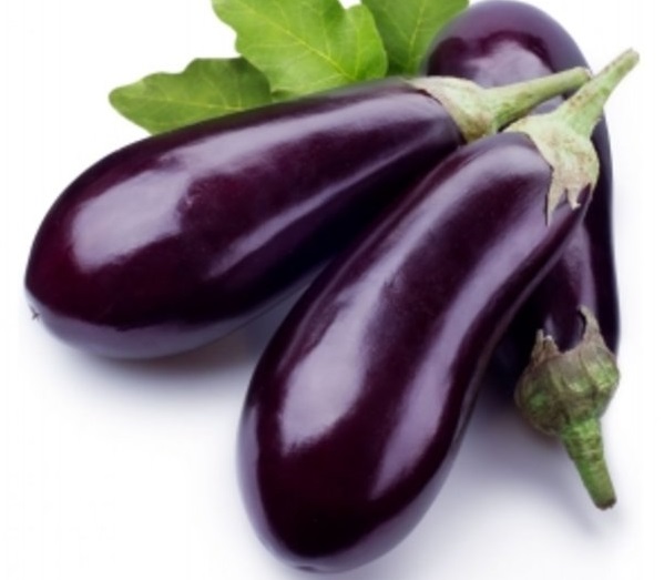 باذنجان أغات F1 باذنجان أغات F1
