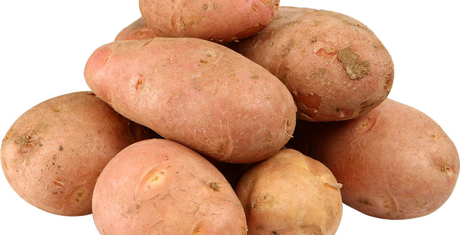 Vörös burgonyagumók