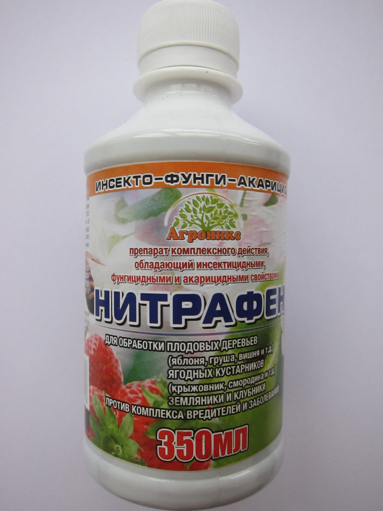 Nitrafen for treating bushes against pests