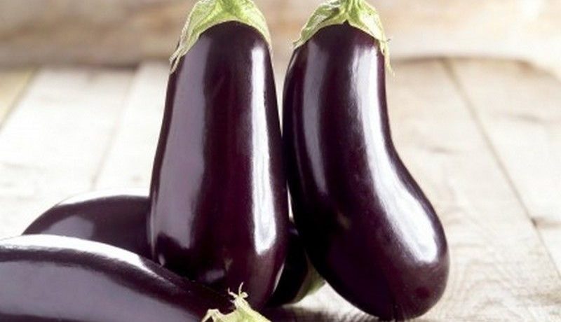 Melanzana Giselle F1