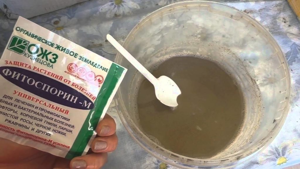 The process of preparing the solution