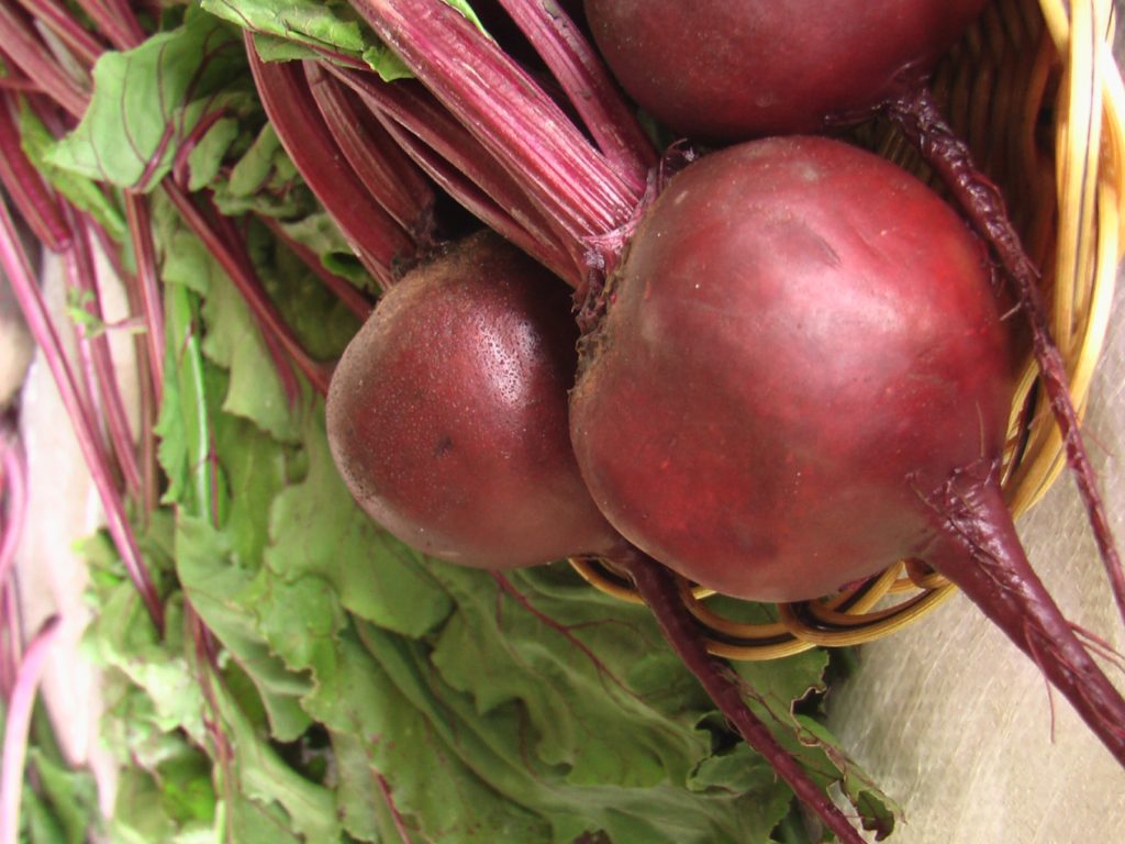 Pablo ir biešu šķirne