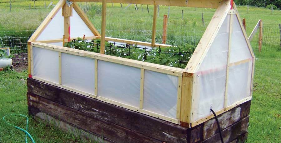 دفيئة خشبية في الموقع