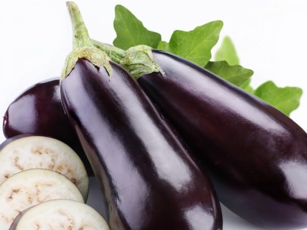 Eggplant variety Fabina