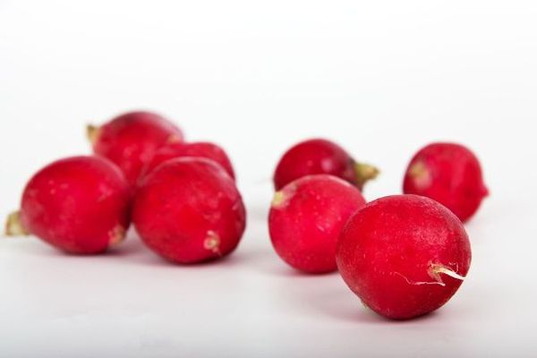 Radishes can be kept fresh for a long time.