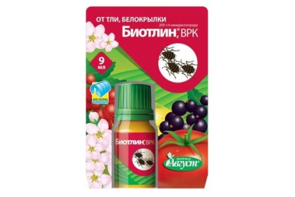 Biotlin vil befri stikkelsbær fra skadedyr.