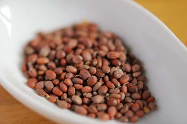 Growing radishes from seeds is very easy.