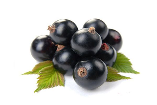 Porzeczki należą do najzdrowszych owoców jagodowych na świecie.