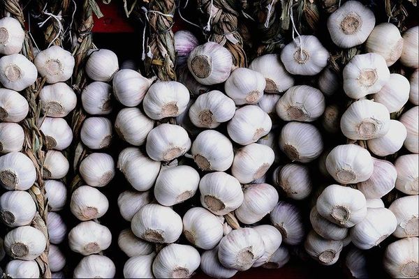 Czosnek jest niezastąpionym produktem w kuchni.