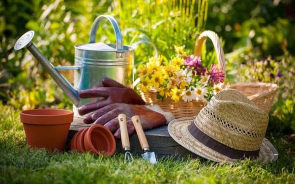 8월은 정원사들에게 바쁜 달이다.