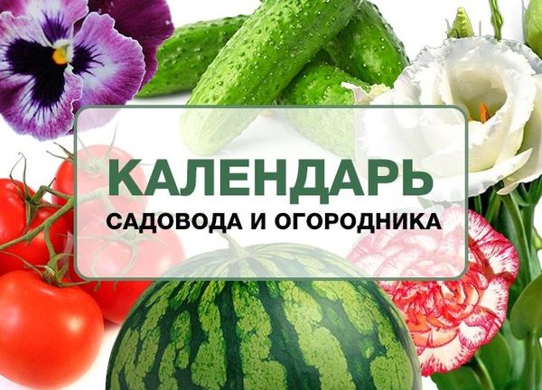 7월 정원사 및 원예가 달력