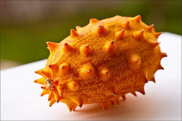 يتناسب البطيخ المقرن جيدًا مع أطباق اللحوم. يتناسب البطيخ المقرن جيدًا مع أطباق اللحوم.