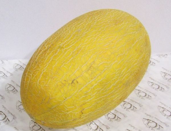 A Gulyaba dinnye magas ásványi sótartalmával jellemezhető.