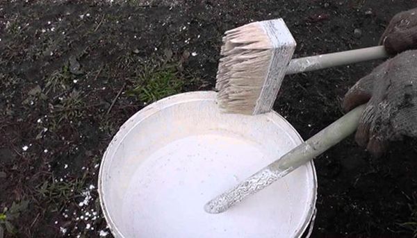 Lai balinātu ābolu, izmantojiet otu vai aerosolu. Lai balinātu ābolu, izmantojiet otu vai aerosolu.