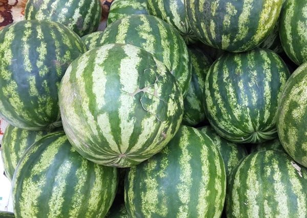 Les síndries es divideixen segons el sexe.