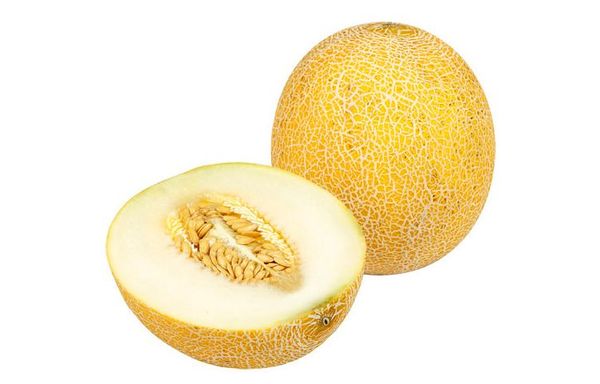 Populárna odroda melónu Idyllia