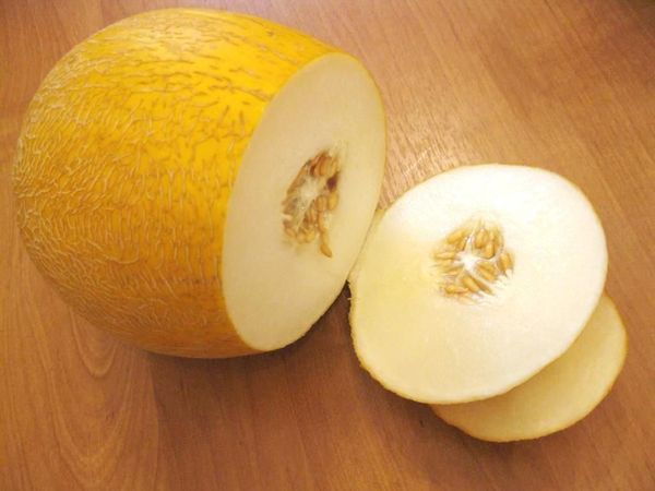 تحظى أصناف البطيخ في منتصف الموسم بشعبية كبيرة تحظى أصناف البطيخ في منتصف الموسم بشعبية كبيرة